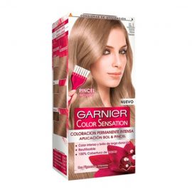 Garnier Color Sensation 8.1 Light Ash Blonde